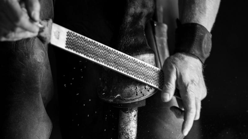 A Bodajki kovácsok mestersége évszázadok óta hagyományos kézműves tevékenység a településen. Ezek a szakemberek a tűz és a fém varázslói, akik nem csupán eszközöket és szerszámokat, hanem egyedi és gyönyörű műalkotásokat is készítenek. A helyi kovácsműhel