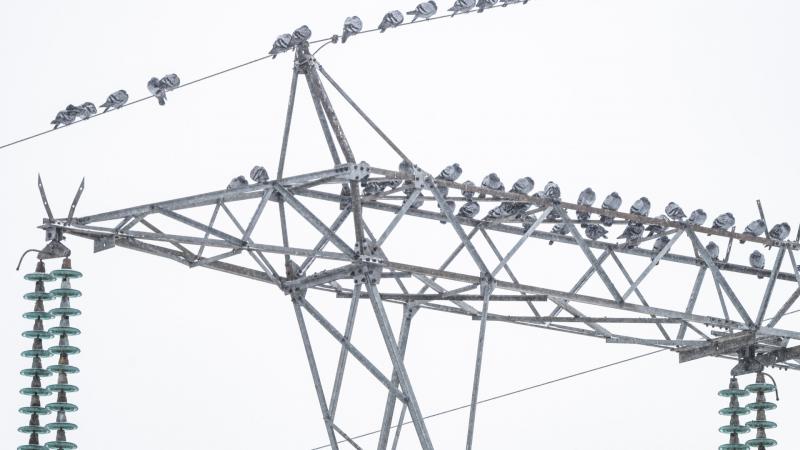 Felfedeztük a legköltséghatékonyabb energiaforrást, amely szerencsére Európa területén is könnyedén hozzáférhető!